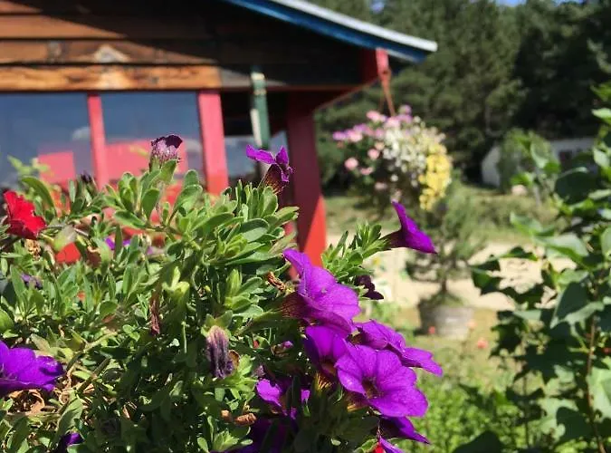 Chambres D'hotes Le Serpolet Bed & Breakfast Les Angles (Pyrenees-Orientales)